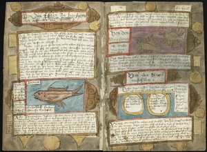 Visboeck Adriaena Coenena - KB 78 E 54 - folio 407v (po lewej) i 408r (po prawej)